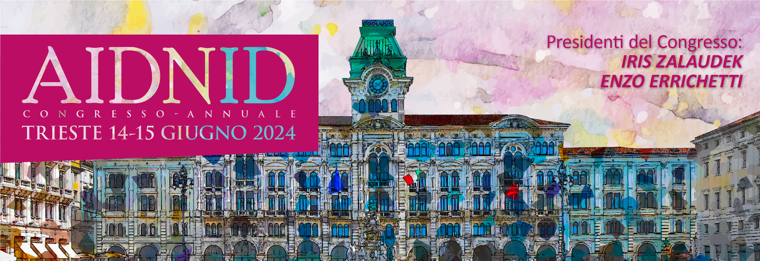 AIDNID 2024 - TRIESTE 14-15 GIUGNO 2024